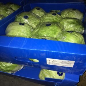 Iceberg Lettuce - Image 2