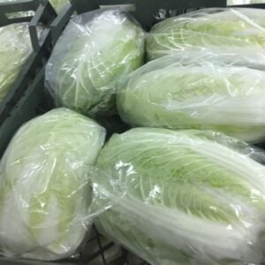 Chinese cabbage, - Image 2