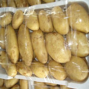 Potato - Image 3