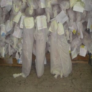 Lamb Fresh and Frozen - Image 5