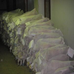 Lamb Fresh and Frozen - Image 6