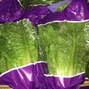 Romaine Lettuce - Image 4
