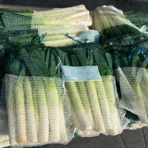 Leeks - Image 2