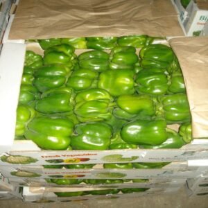 Green Bell Pepper - Image 4