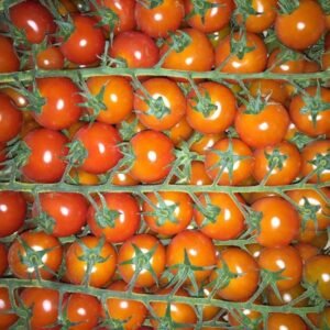 Cherry Bunch - Image 5