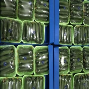 Persian Pickling Cucumber - Image 6