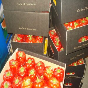 Yellow Bell Pepper - Image 5