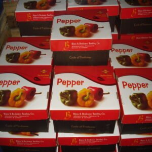 Yellow Bell Pepper - Image 6