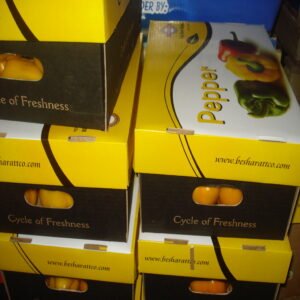 Yellow Bell Pepper - Image 7