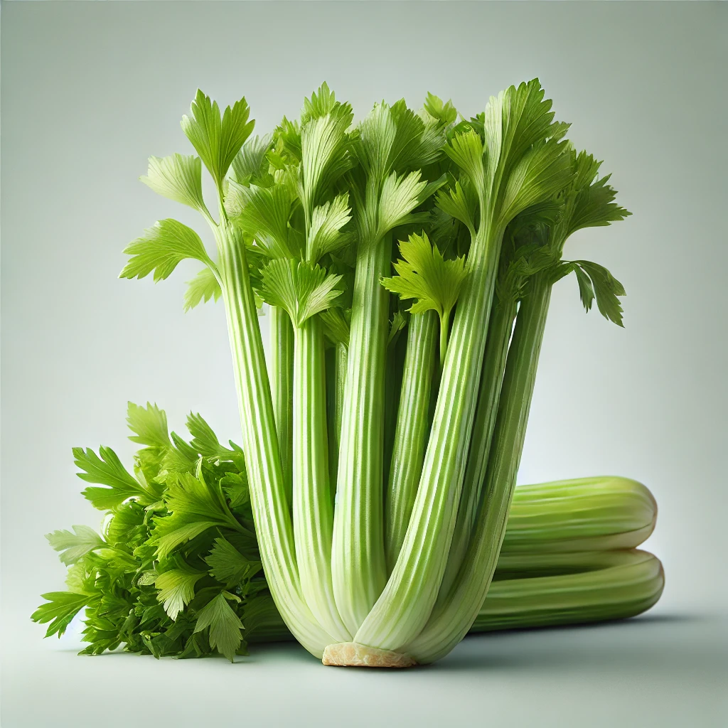 Celery Celery - Image 1