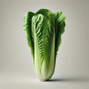 Romaine Lettuce